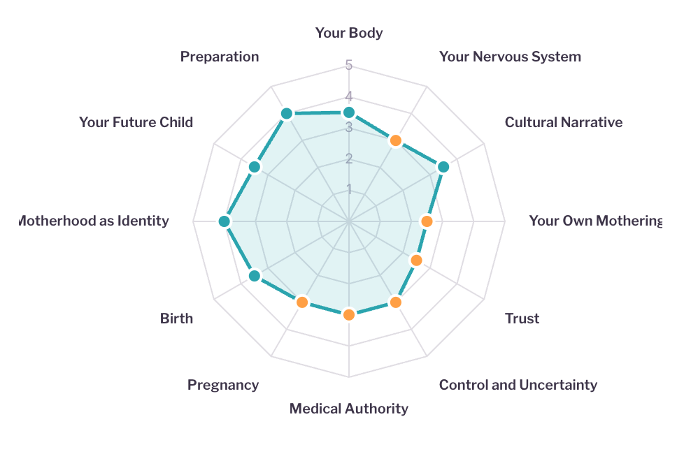Birth Readiness Blueprint sample