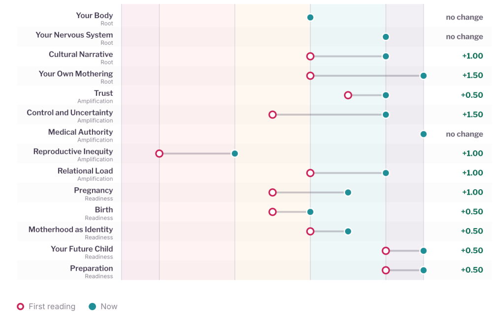 Birth Readiness Profile category scores before and after, showing change across each area during recovery from IVF burnout